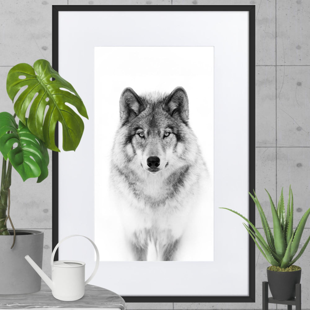 Poster mit Passepartout - Calm Wolf Kuratoren von artlia artlia