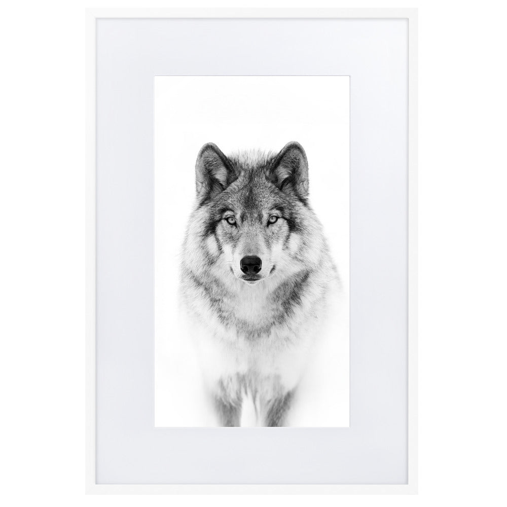 Poster mit Passepartout - Calm Wolf Kuratoren von artlia Weiß / 61×91 cm artlia