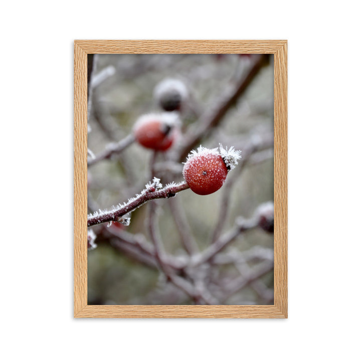 Poster - Winterbeeren II Kuratoren von artlia Oak / 30×40 cm artlia