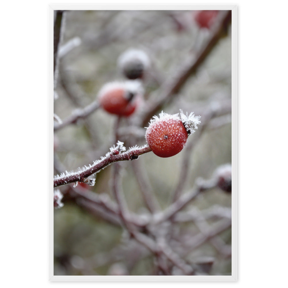 Poster - Winterbeeren II Kuratoren von artlia Weiß / 61×91 cm artlia