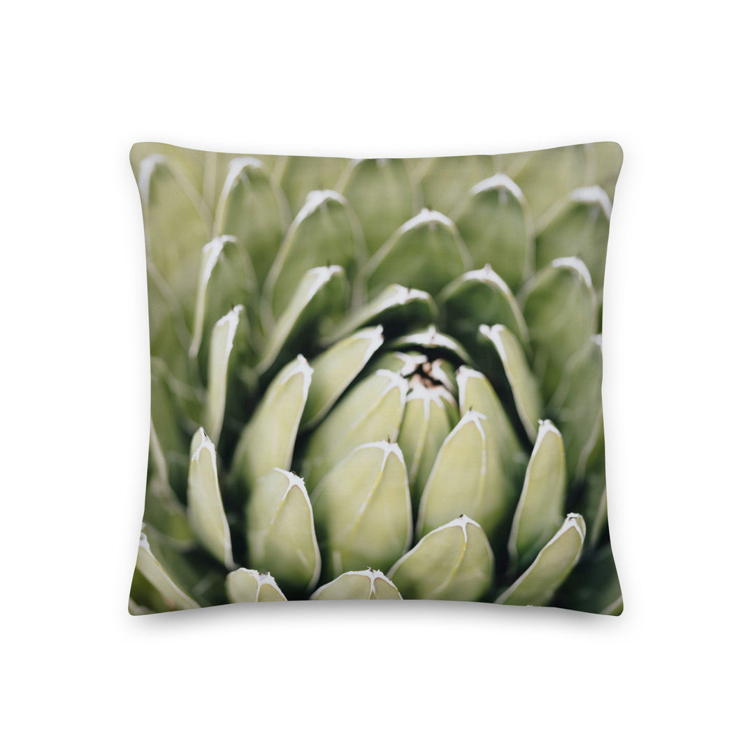 Premium-Kissen - Cactus Flower II Kuratoren von artlia 46x46 cm (18″×18″) artlia