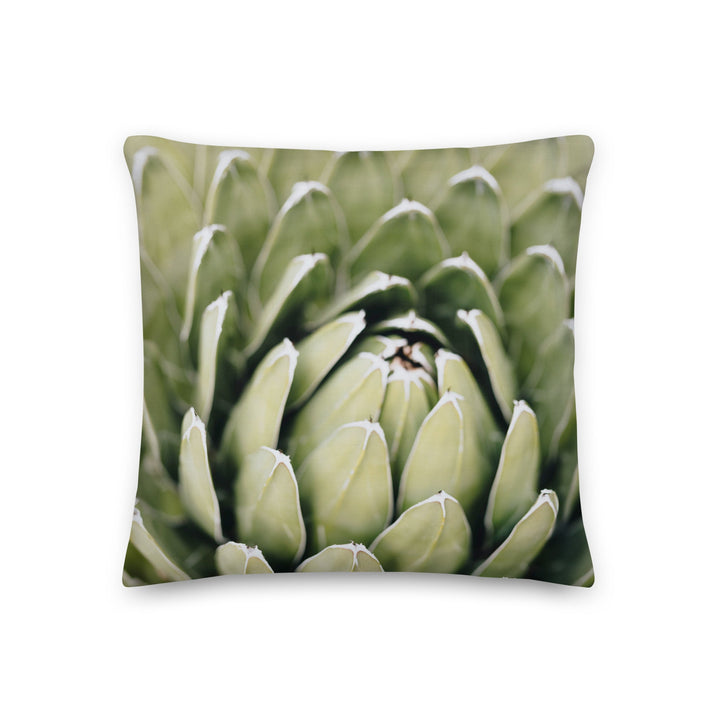 Premium-Kissen - Cactus Flower II Kuratoren von artlia 46x46 cm (18″×18″) artlia