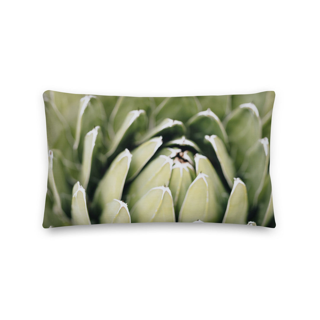 Premium-Kissen - Cactus Flower II Kuratoren von artlia 50x30 cm (20″×12″) artlia