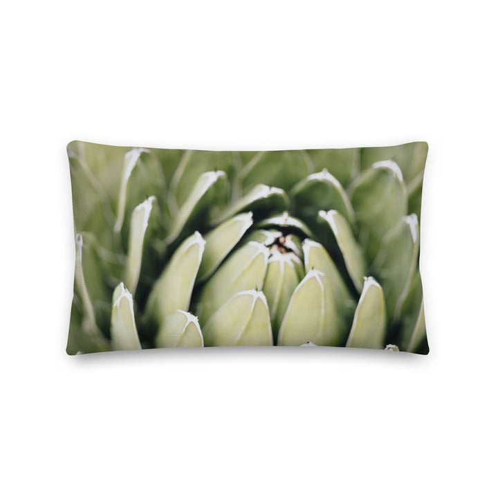 Premium-Kissen - Cactus Flower II Kuratoren von artlia 50x30 cm (20″×12″) artlia