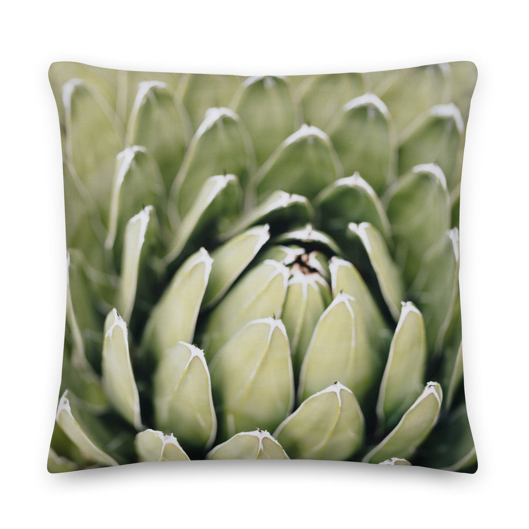 Premium-Kissen - Cactus Flower II Kuratoren von artlia 56x56 cm (22″×22″) artlia
