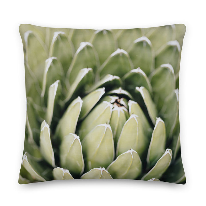 Premium-Kissen - Cactus Flower II Kuratoren von artlia 56x56 cm (22″×22″) artlia
