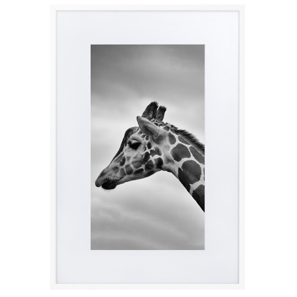 Giraffe - Poster im Rahmen mit Passepartout Kuratoren von artlia Weiß / 61×91 cm artlia