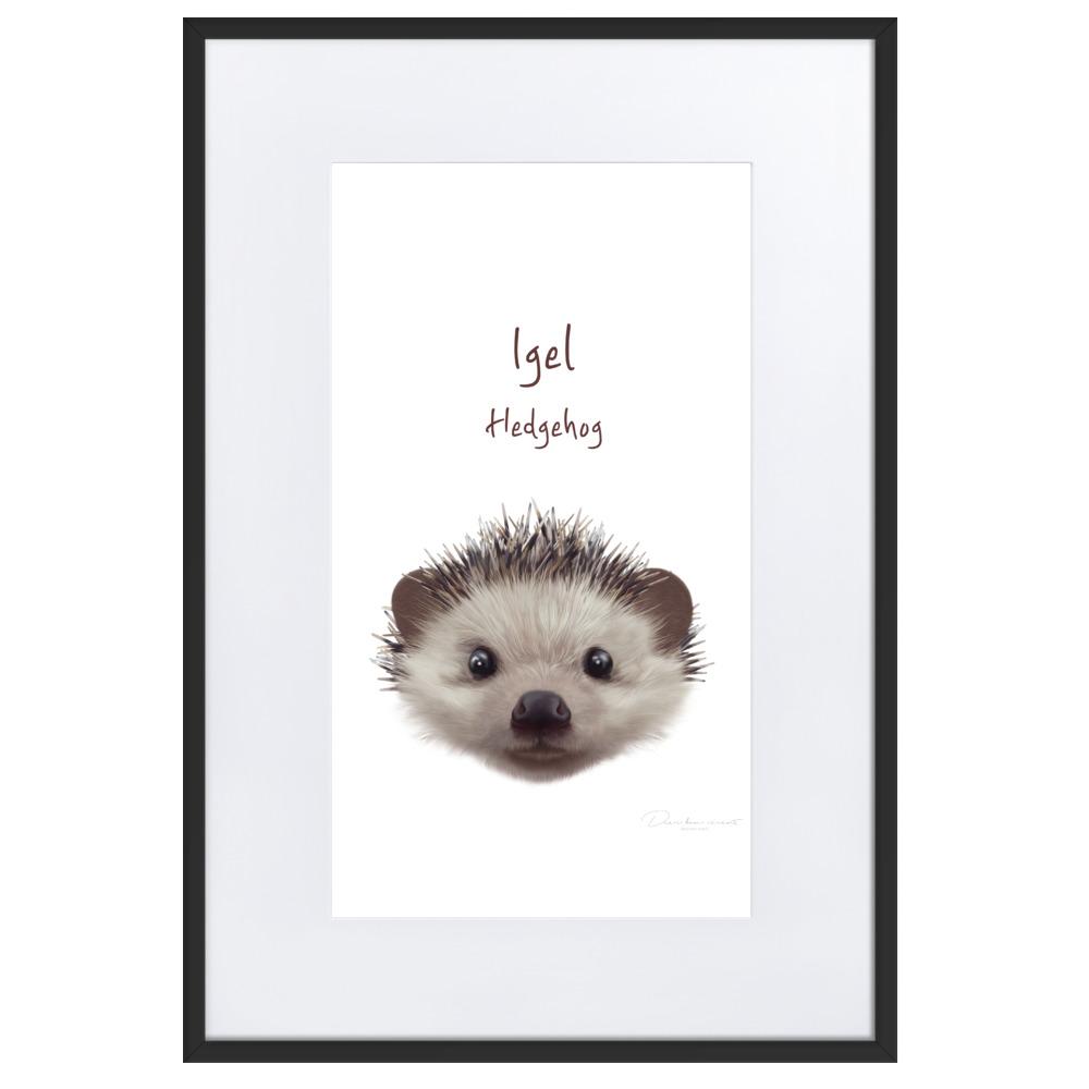 Igel - Poster im Rahmen mit Passepartout dear.bon.vivant schwarz / 61×91 cm artlia