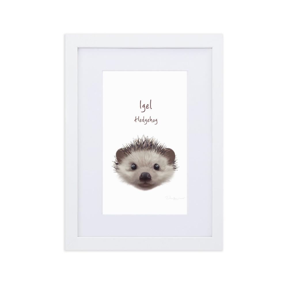 Igel - Poster im Rahmen mit Passepartout dear.bon.vivant weiß / 21×30 cm artlia