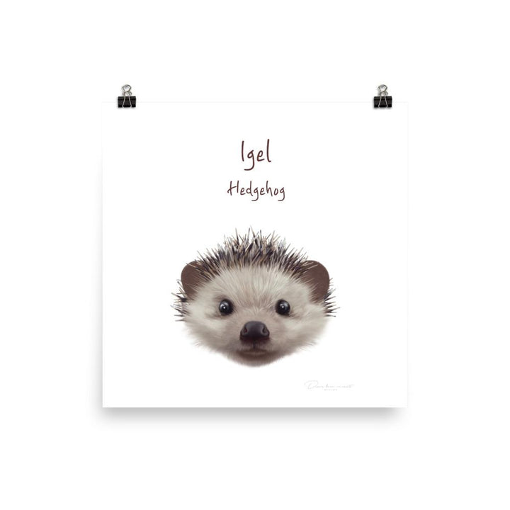 Igel - Tier Poster für Kinder dear.bon.vivant 25x25 cm artlia