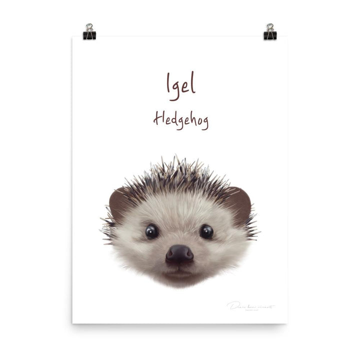 Igel - Tier Poster für Kinder dear.bon.vivant 30x41 cm artlia