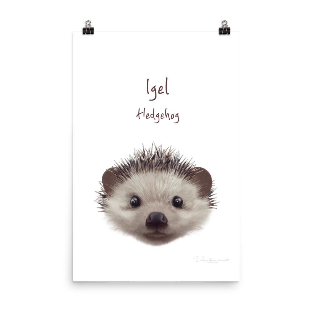 Igel - Tier Poster für Kinder dear.bon.vivant 30x45 cm artlia