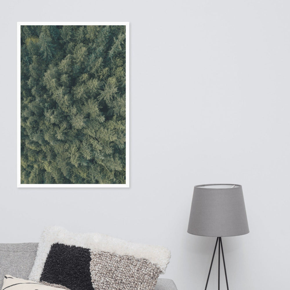 Kiefernwald Pine Forest - Poster Kuratoren von artlia artlia