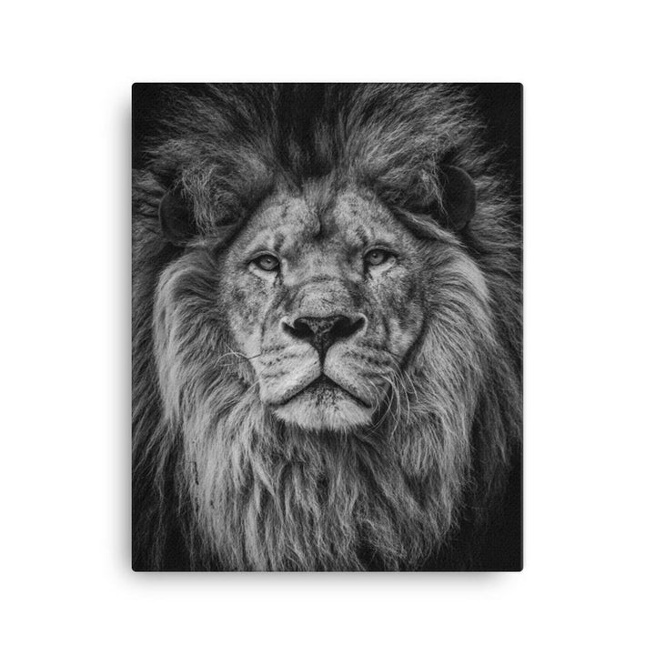 Loewe Lion - Leinwand artlia 16×20 artlia