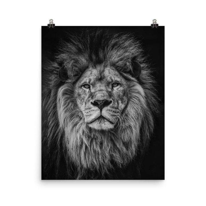 Loewe Lion - Poster artlia 16×20 artlia