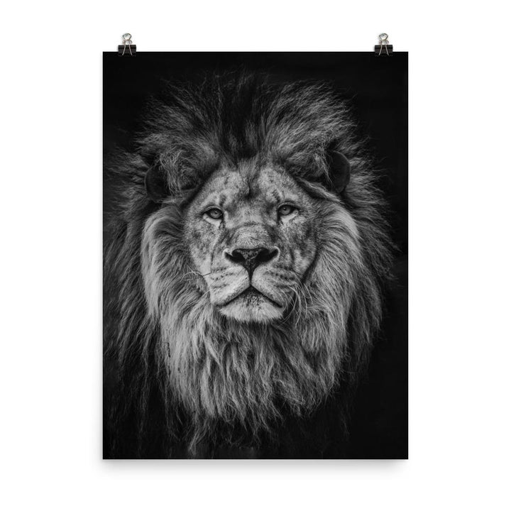 Loewe Lion - Poster artlia 18×24 artlia