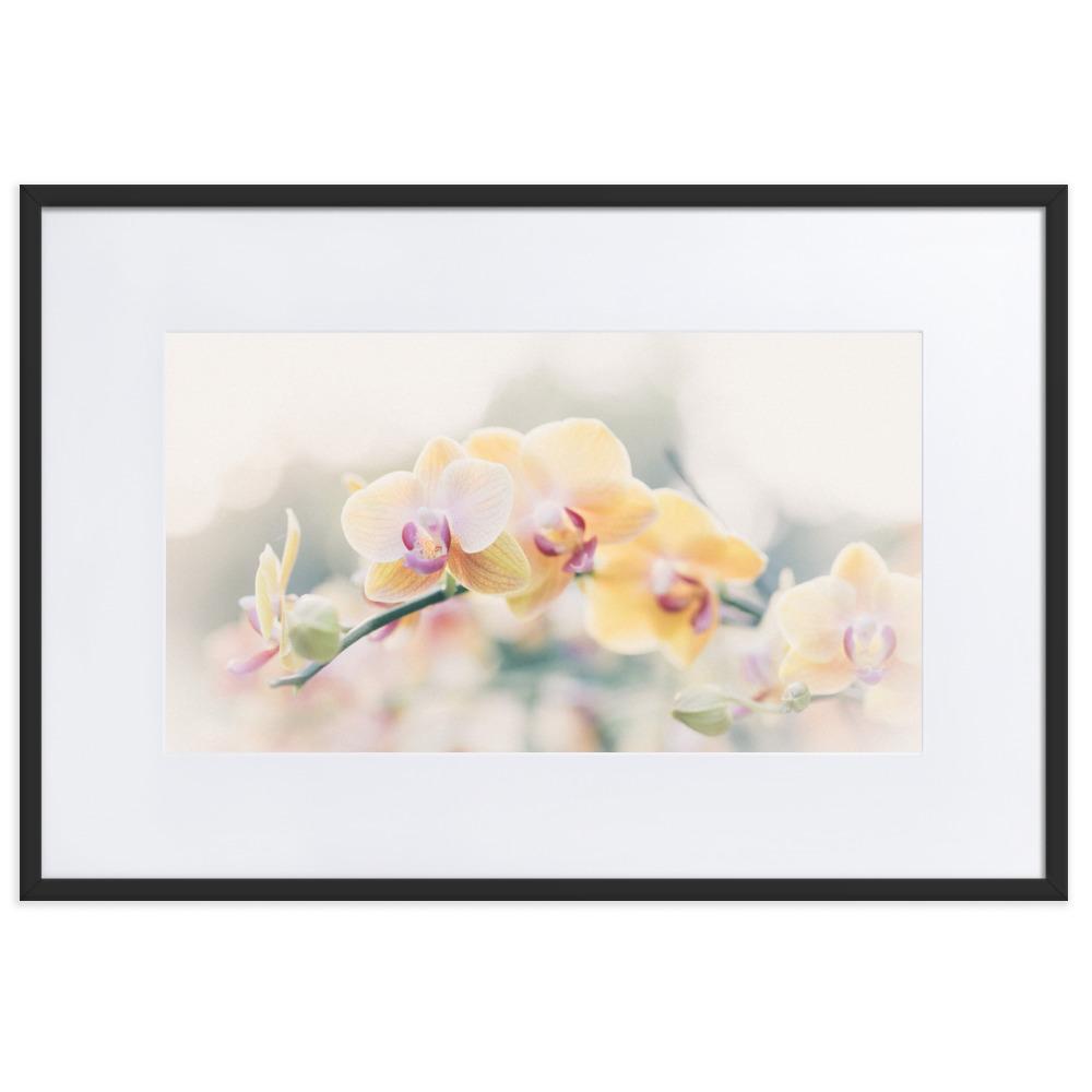 Orchid 01 - Poster im Rahmen mit Passepartout Kuratoren von artlia schwarz / 61×91 cm artlia