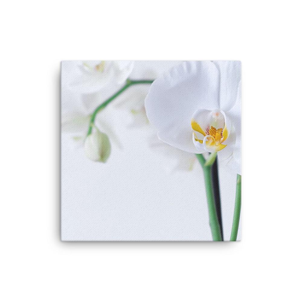 Orchid 03 - Leinwand Kuratoren von artlia 12×12 artlia