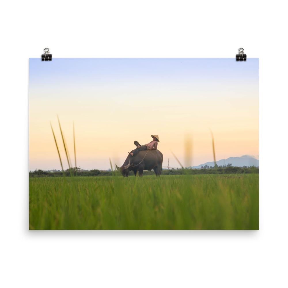 Peaceful Evening - Poster artlia 18×24 artlia