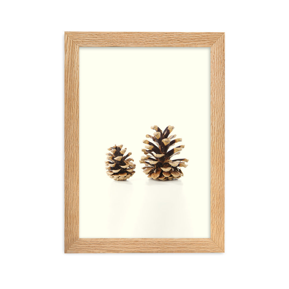 Pine Cone - Poster im Rahmen Kuratoren von artlia Oak / 21×30 cm artlia