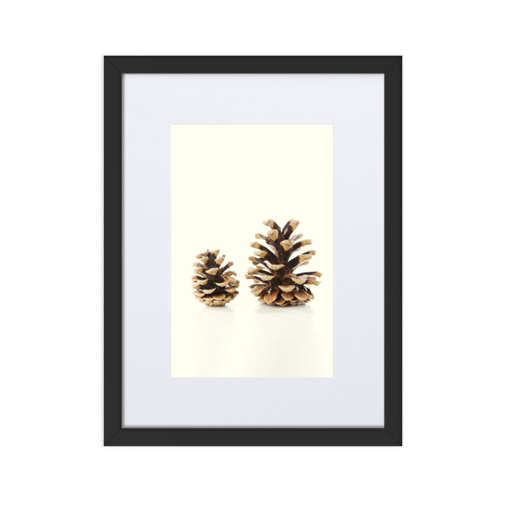 Pine Cone - Poster im Rahmen mit Passepartout Kuratoren von artlia Schwarz / 30×40 cm artlia