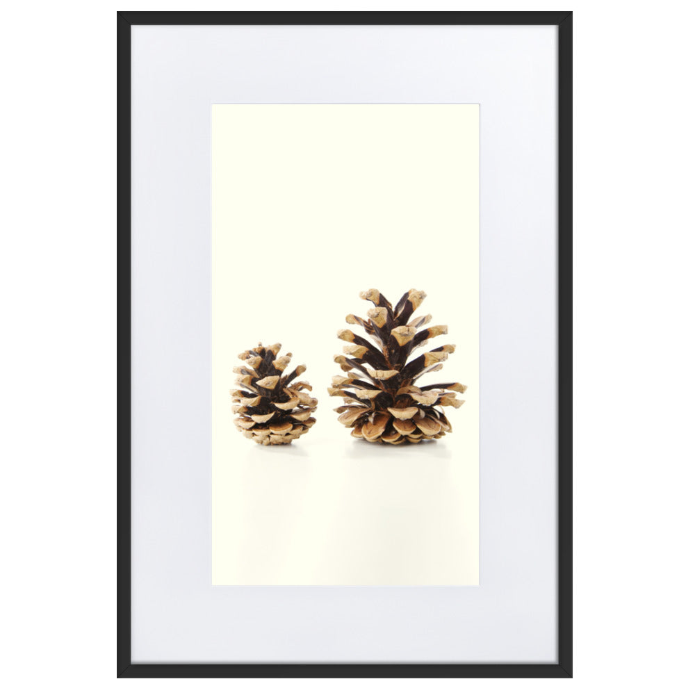 Pine Cone - Poster im Rahmen mit Passepartout Kuratoren von artlia Schwarz / 61×91 cm artlia