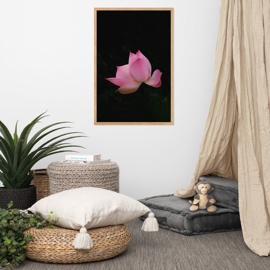 Poster - Lotus Seerose Kuratoren von artlia artlia