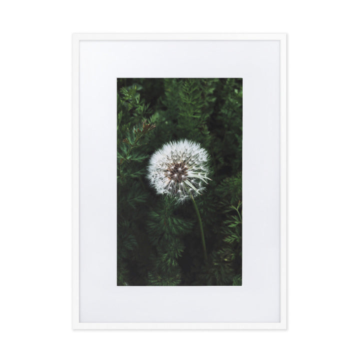 Poster mit Passepartout - Pusteblume Kuratoren von artlia Weiß / 50×70 cm artlia