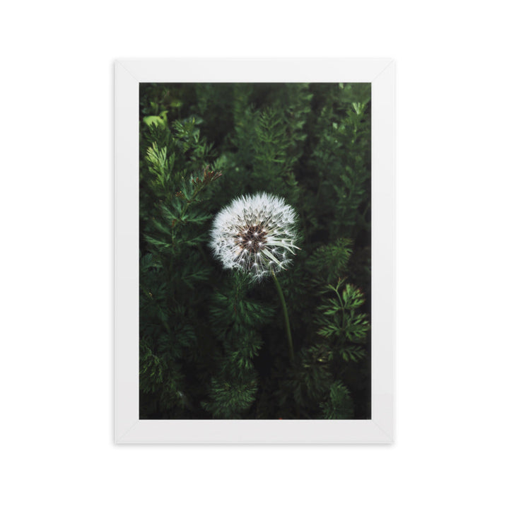 Poster mit Rahmen - Pusteblume Kuratoren von artlia Weiß / 21×30 cm artlia