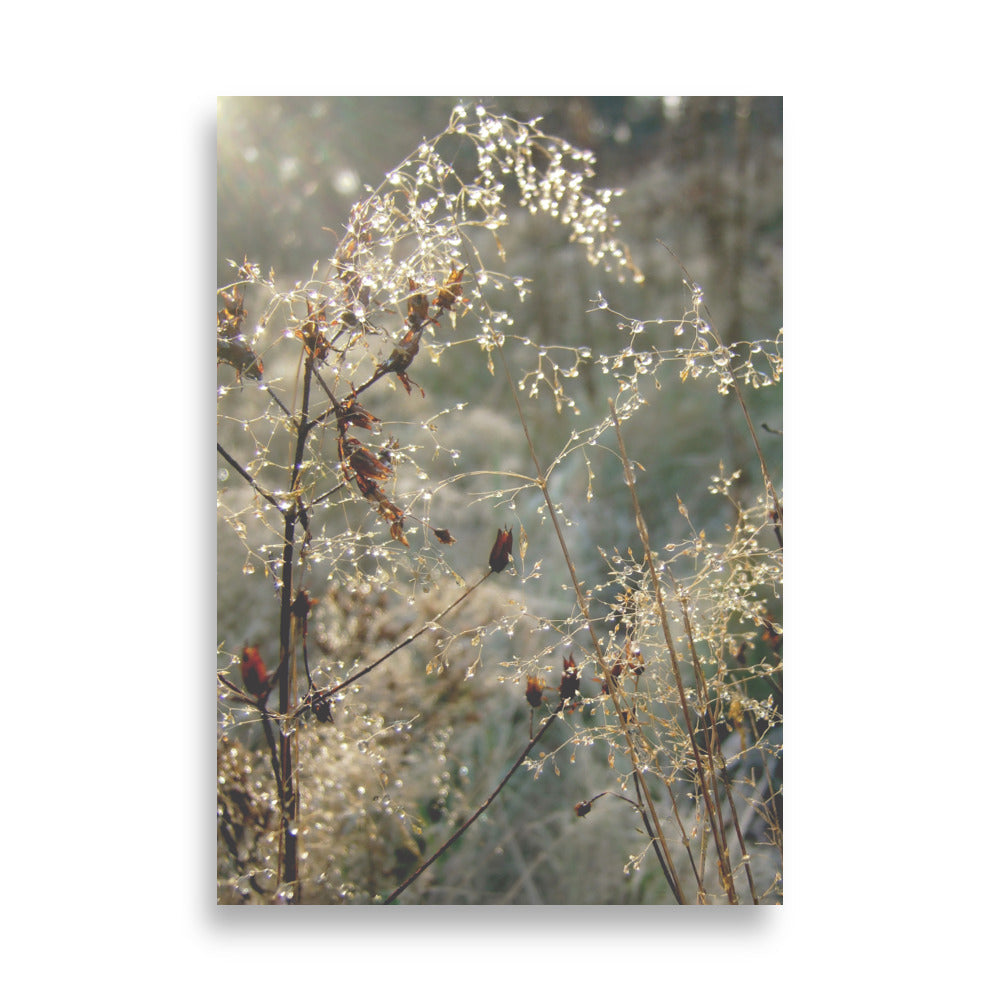 Poster - Winter Dews Kuratoren von artlia 21×30 cm artlia