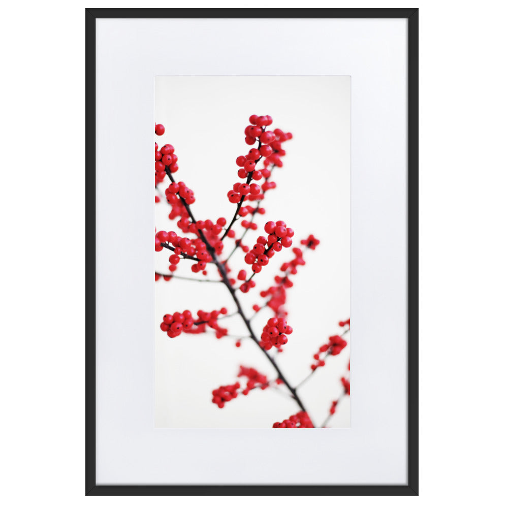 Red Berries - Poster im Rahmen mit Passepartout Kuratoren von artlia Schwarz / 61×91 cm artlia