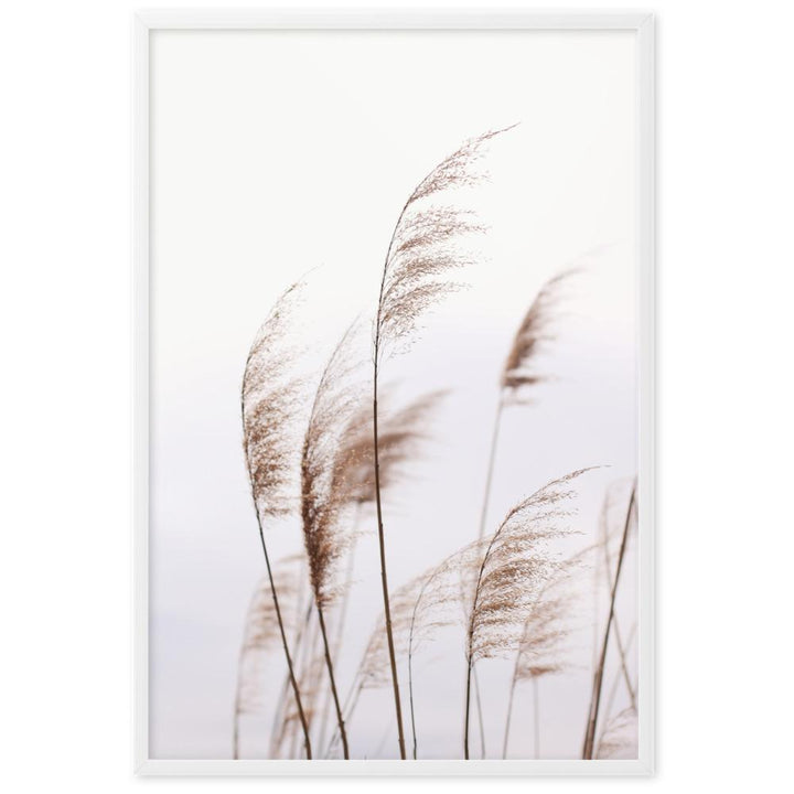 Reeds 01 - Poster im Rahmen artlia Weiß / 61×91 cm artlia