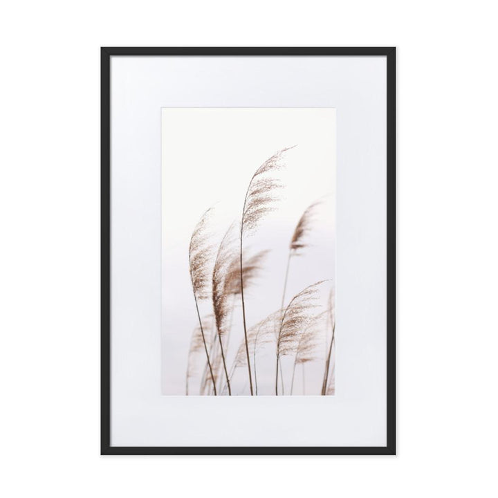 Reeds 01 - Poster im Rahmen mit Passepartout artlia Schwarz / 50×70 cm artlia