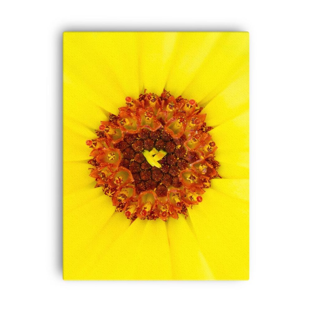 Ringelblume - Leinwand artlia 18×24 artlia