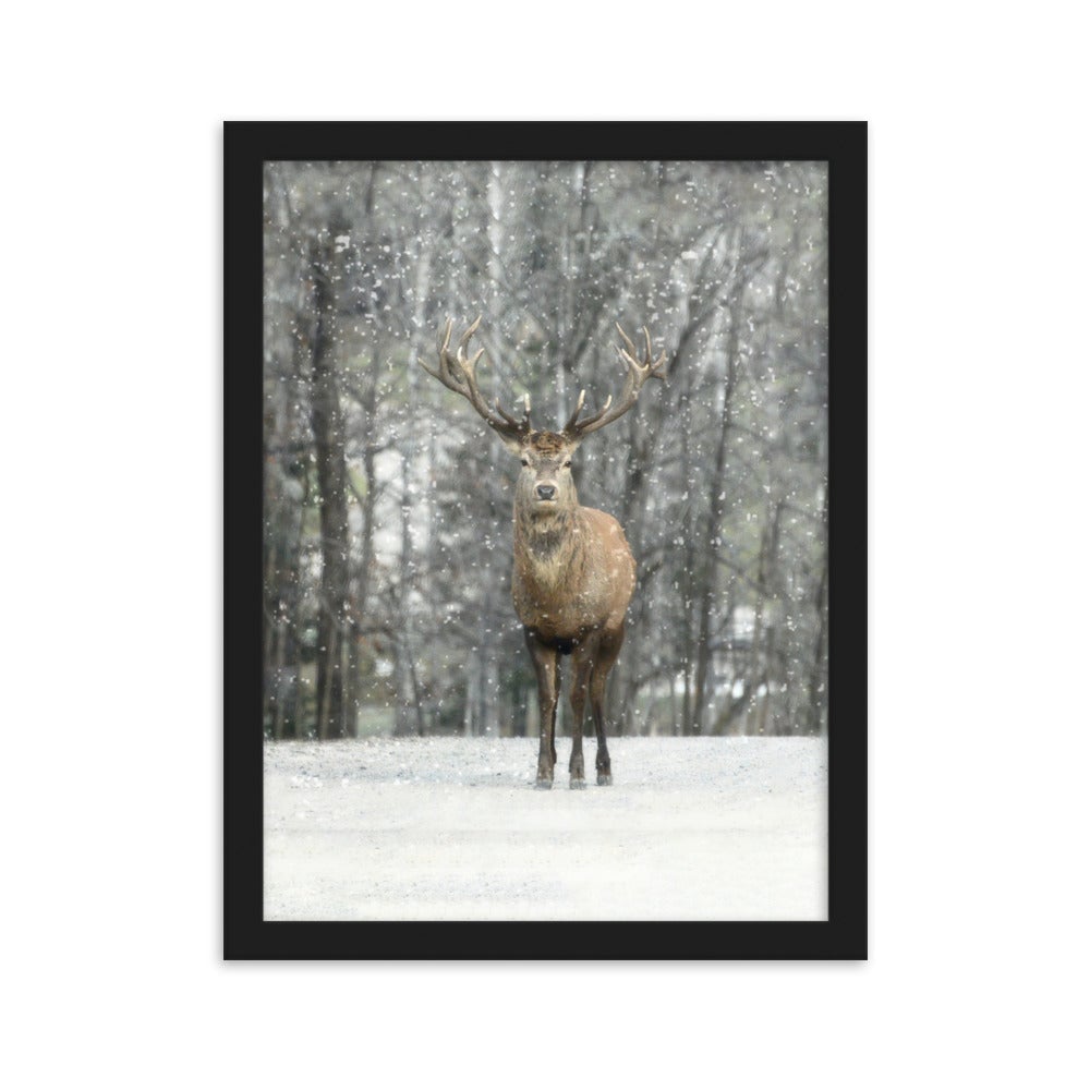 Rotwild im Schnee - Poster im Rahmen artlia Schwarz / 30×40 cm artlia