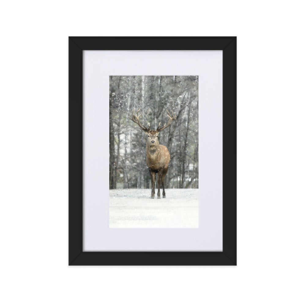 Rotwild im Schnee - Poster im Rahmen mit Passepartout artlia Schwarz / 21×30 cm artlia