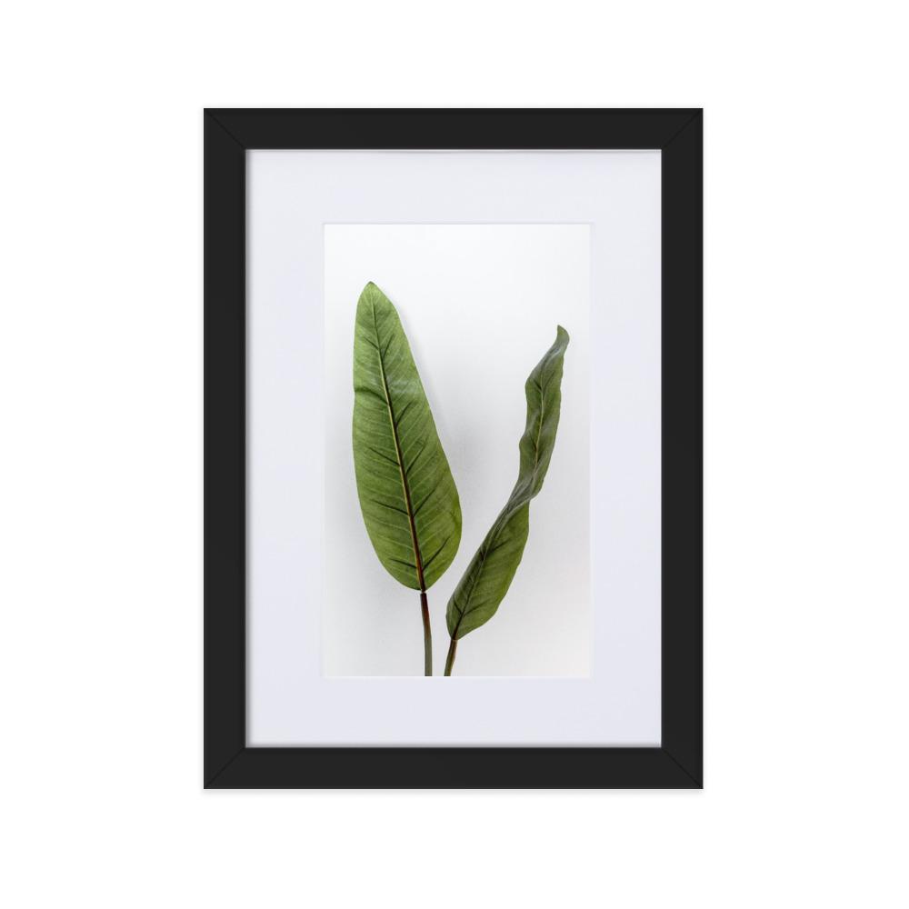 Tropical Leaves - Poster im Rahmen mit Passepartout Kuratoren von artlia schwarz / 21×30 cm artlia