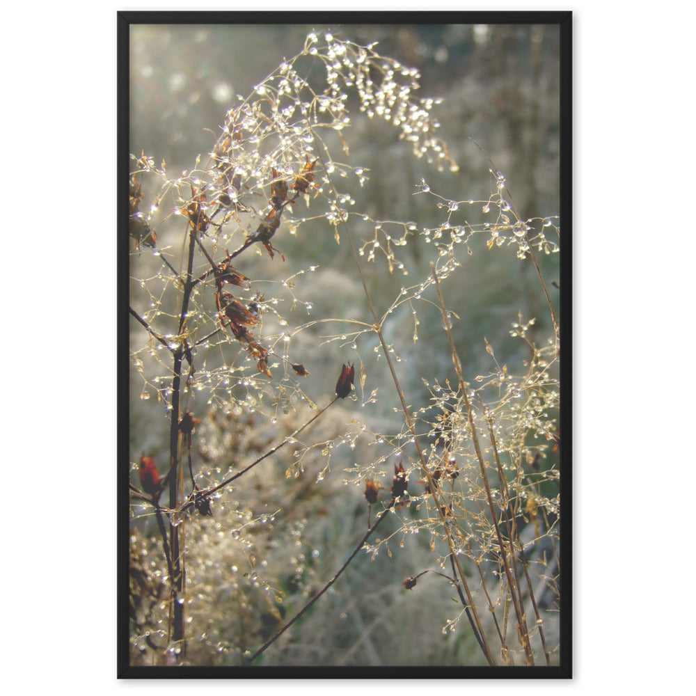 Winter Dews - Poster im Rahmen Kuratoren von artlia Schwarz / 61×91 cm artlia