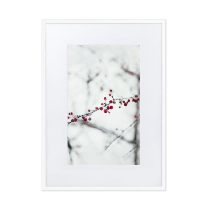 Winterbeeren Winterberries - Poster im Rahmen mit Passepartout artlia Weiß / 50×70 cm artlia